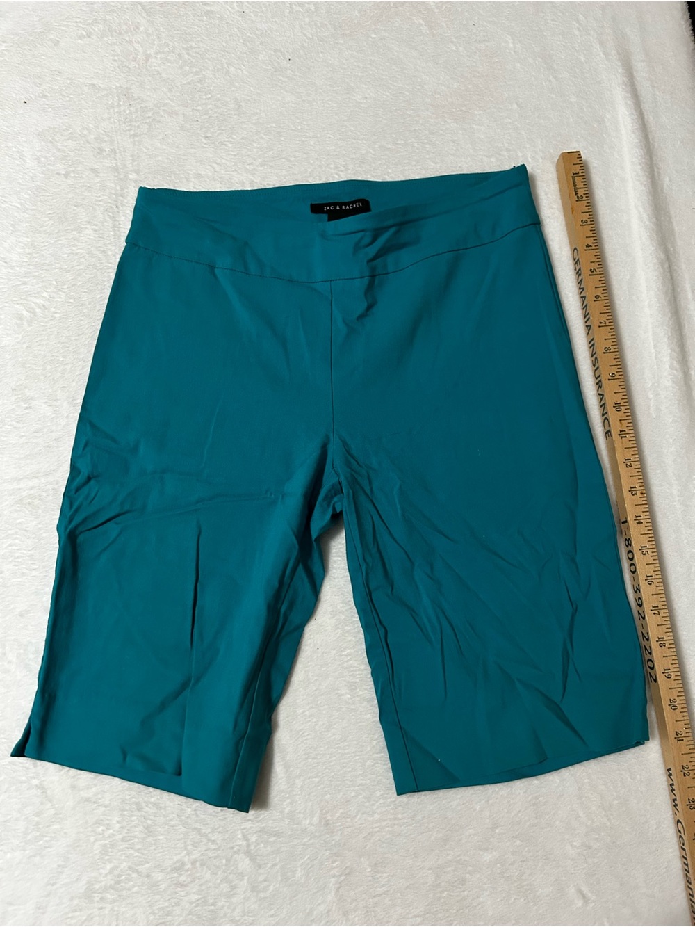 Zac & Rachel Teal Shorts